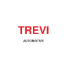 Trevi
